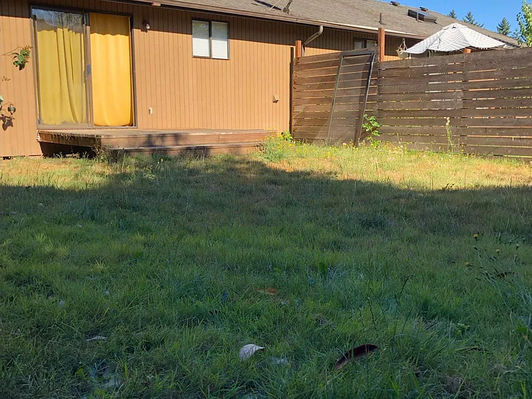 Fenced back yard