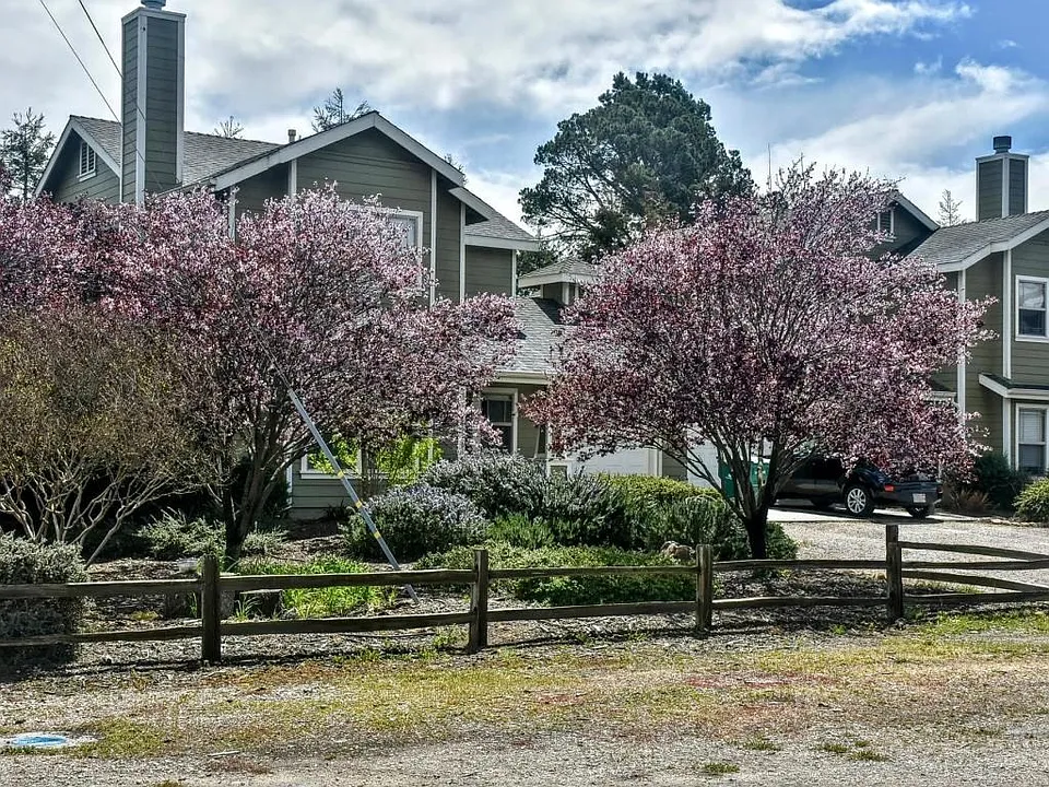 Duplex 3/2.5 Each Unit
