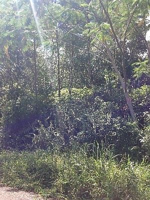 2nd image of Sandalwood Ct Lot 4
