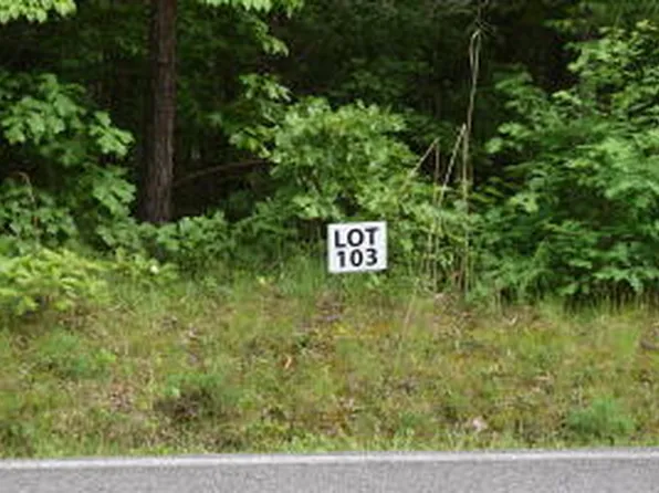 103 Halfmoon Shores Dr, Ten Mile, TN 37880