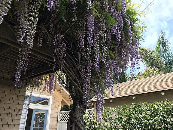4th image of 426 W Los Olivos St #1