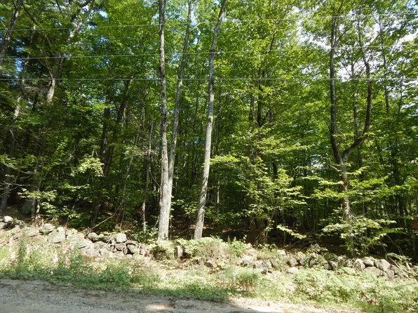 Lot 6 Maplecrest Road, Parsonsfield, ME 04047