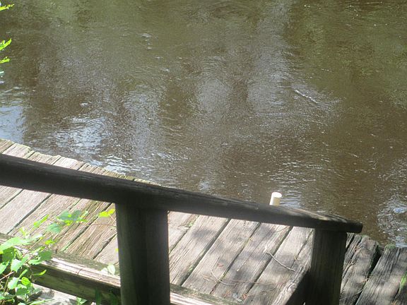 3rd image of 2954 Black Creek Dr