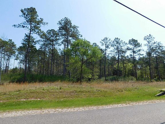 5th image of 9175 Grizzly Dr