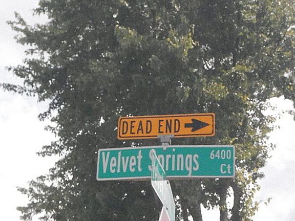 5th image of 6451 Velvet Springs Ct