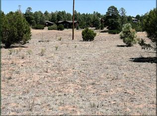 2222 Mogollon Rim Dr, Overgaard, AZ 85933