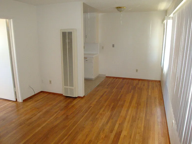 1002 W Palm St — Photo 3