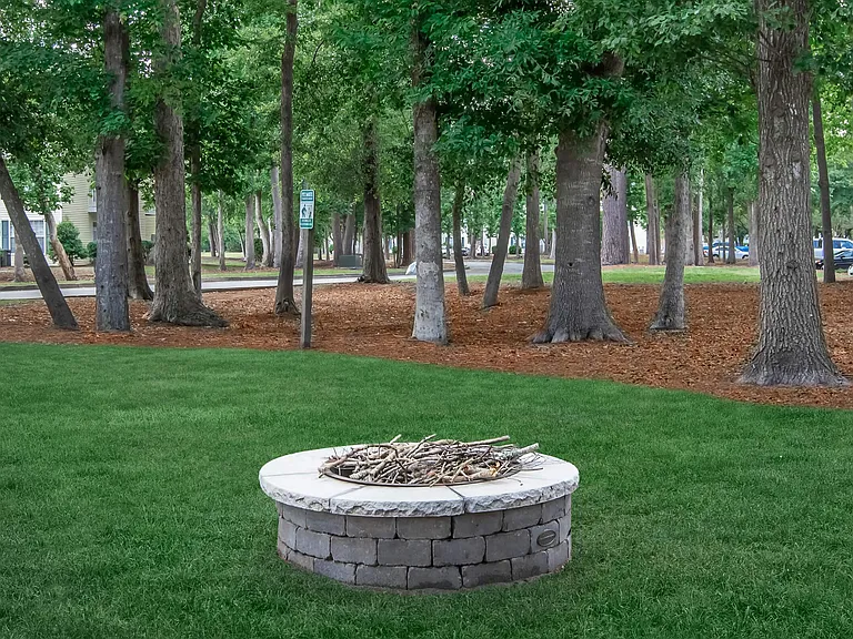 Tesla Park — Photo 20