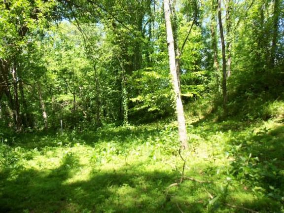 4th image of Lot 23 Hiawassee Ln Lot 23
