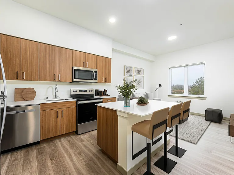 Kitchen Kitchen