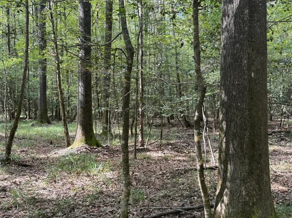 Attala Rd #5216, Kosciusko, MS 39090