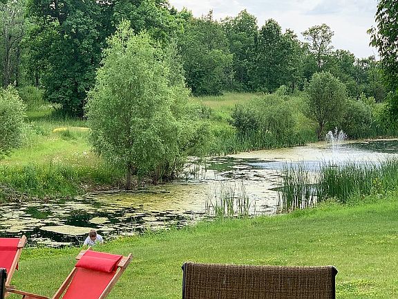 Pond