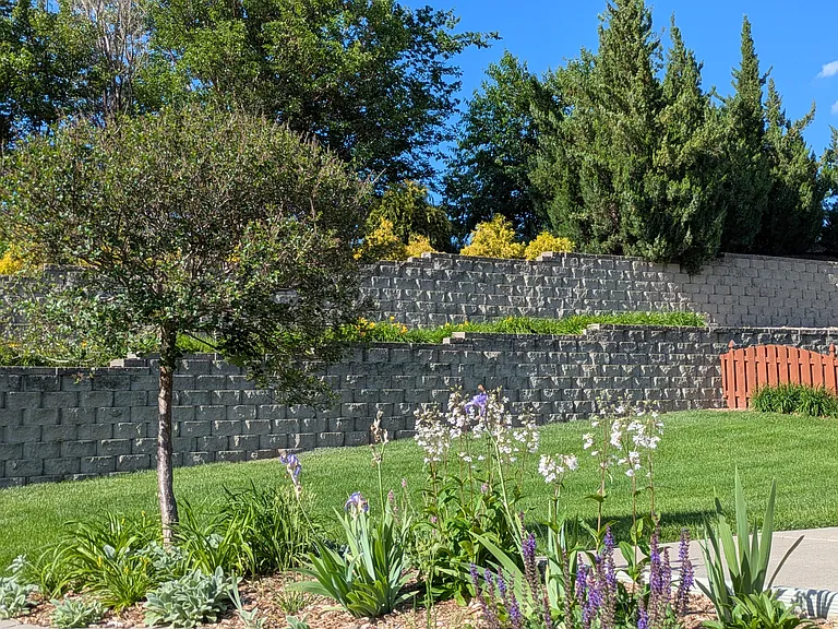 Backyard view.