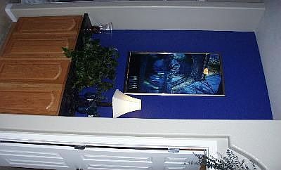 Nook Area