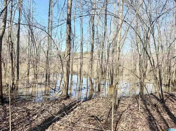 0 Cody Rd, Roanoke, AL 36274