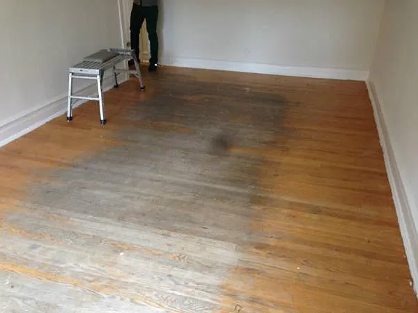 2 bed, 1.0 bath, $1,800 — Photo 2