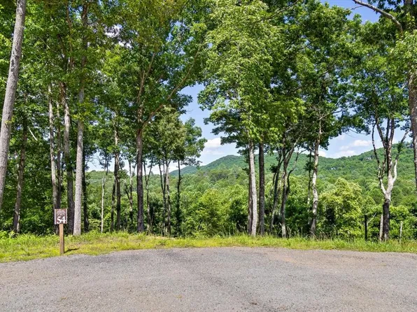 54 Hickory Way, Mineral Bluff, GA 30559