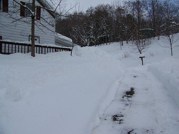 feb 2010