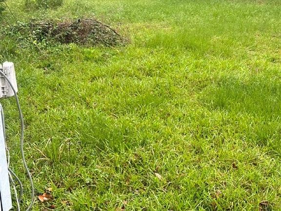 4th image of 23937 Killer Bee Ln