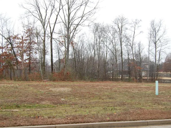 10267 Gray Heron Ln, Arlington, TN 38002