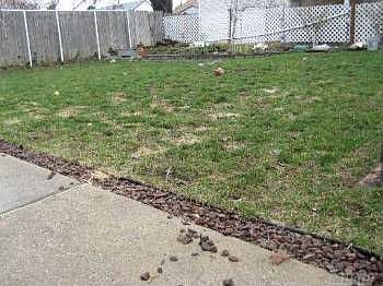 3rd image of 234 Nevada St