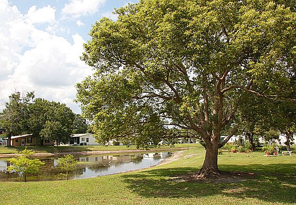 5th image of 14157 Bent Tree Ct