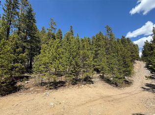 312 Vista Road, Idaho Springs, CO 80452