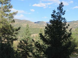 315 Bernard Creek Dr, Florissant, CO 80816