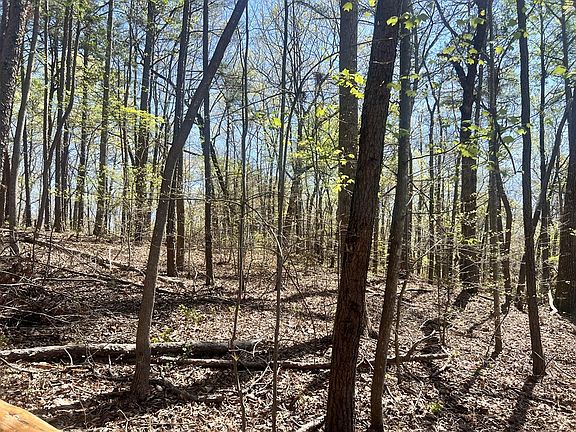 5th image of 92 Doll Mountain Rd