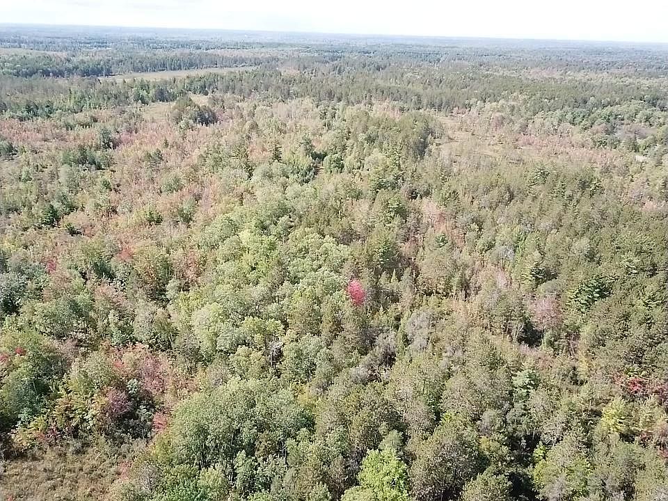 2nd image of Alabaster Rd