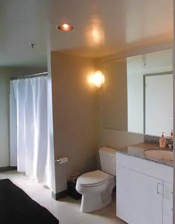 425 W Beech St #1301 — Photo 10
