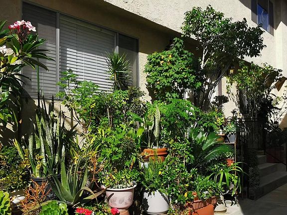 2nd image of 5221 Rosemead Blvd
