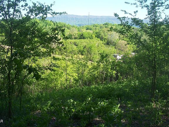 3rd image of 1 Chapman Hwy Lot 1