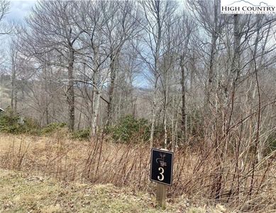 TBD Wapiti Way, Blowing Rock, NC, 28605