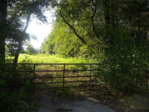 A closer peak at the entrance!