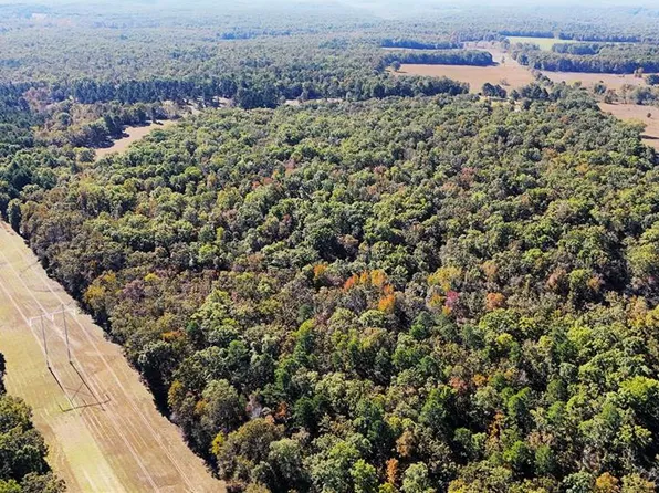 0 265 #B, Grandin, MO 63943