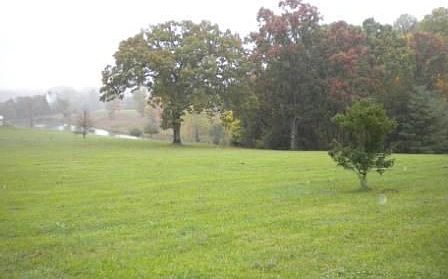 3rd image of 887 Labellevue Dr