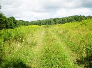 137 Windham Rd, Greene, NY 13778