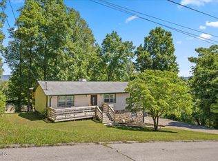 303 Clifftop Ct, Mount Carmel, TN 37645