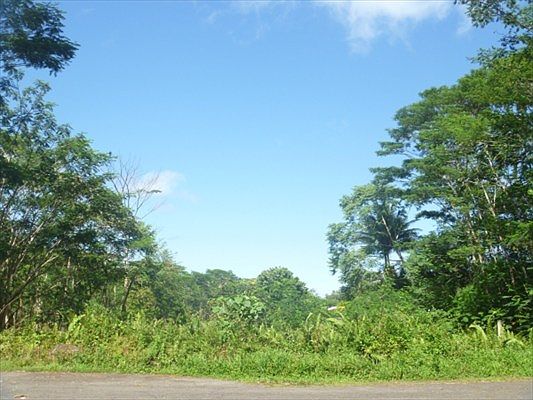 2nd image of Honu St Lot 1