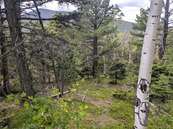 2763 Purnell Lane, Fort Garland, CO 81133