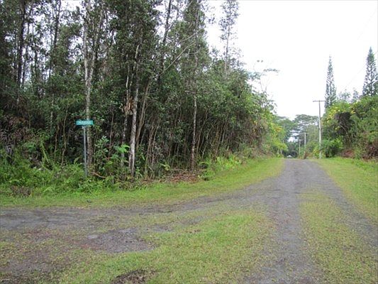 2nd image of Paradise Rd