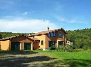 1440 Doe Brook Rd, Hamden, NY 13782