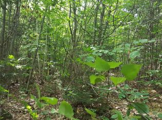 M4 96 & 99 Parker Pond Road, Jay, ME 04239