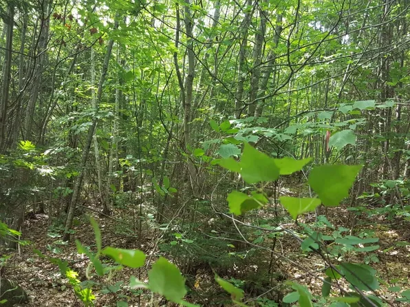 M4 96 & 99 Parker Pond Road, Jay, ME 04239