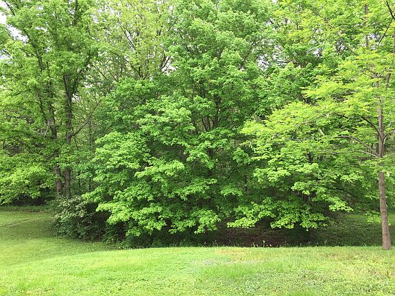 5th image of 7419 W Orchard Grass Blvd