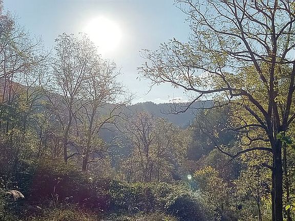 3rd image of 0 Dan Branch Rd