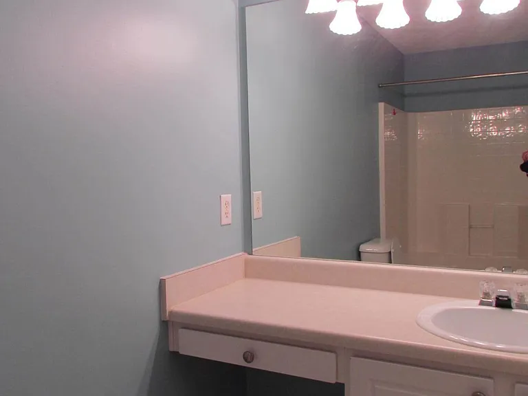 3233 Harpeth Springs Dr — Photo 7