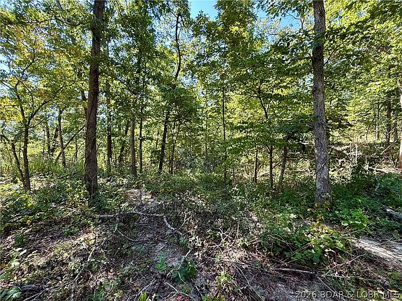 2nd image of Possum Trot Rd
