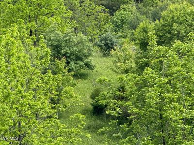 Johnson Hollow Rd, Mountain City, TN, 37683